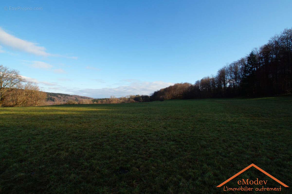 Terrain à LE VAL-D'AJOL