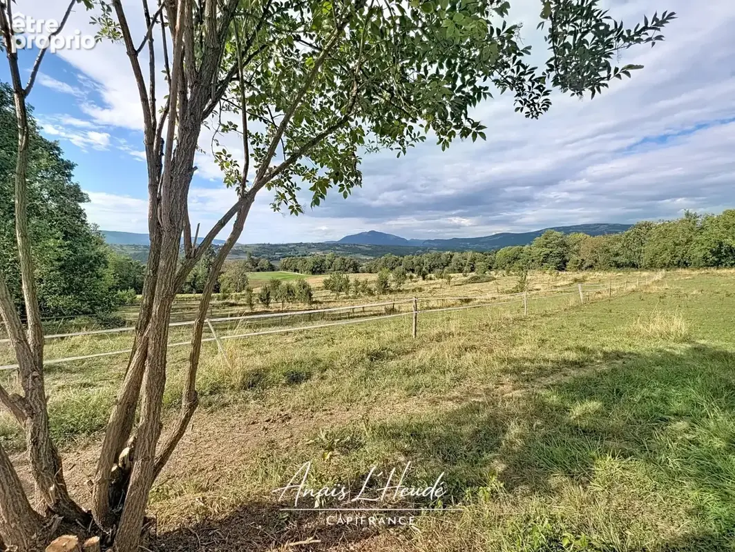 Propriété d’exception – près de 300 m² – 2,7 hectares – installations equestres - logements independants - photo 19