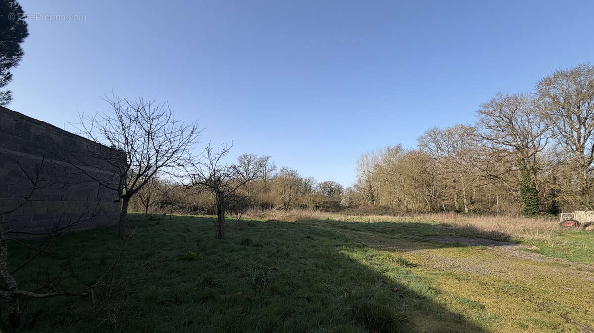 Maison à SAINT-SECONDIN