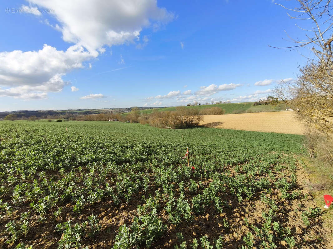 Terrain de 2898 m2 avec vue dégagée à 2 minutes du centre de GIMONT - photo 2