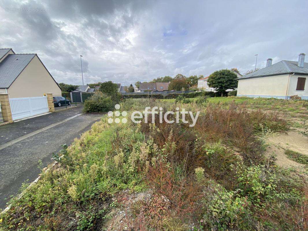 Terrain à SAINTE-LUCE-SUR-LOIRE
