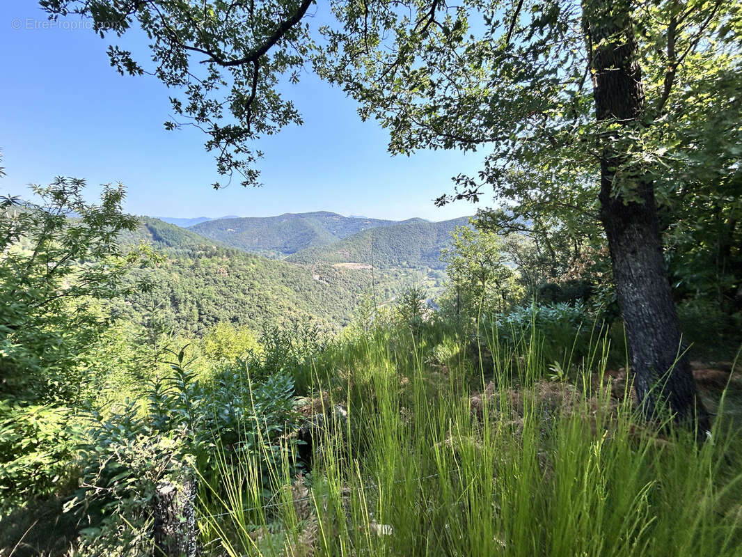 En Cévennes, Magnifique propriété, à vendre - photo 21