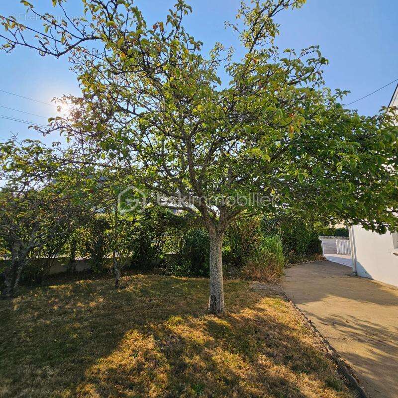 Maison 3 pièces 125m² - photo 13
