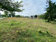 Terrain à SAINTE-ALVERE