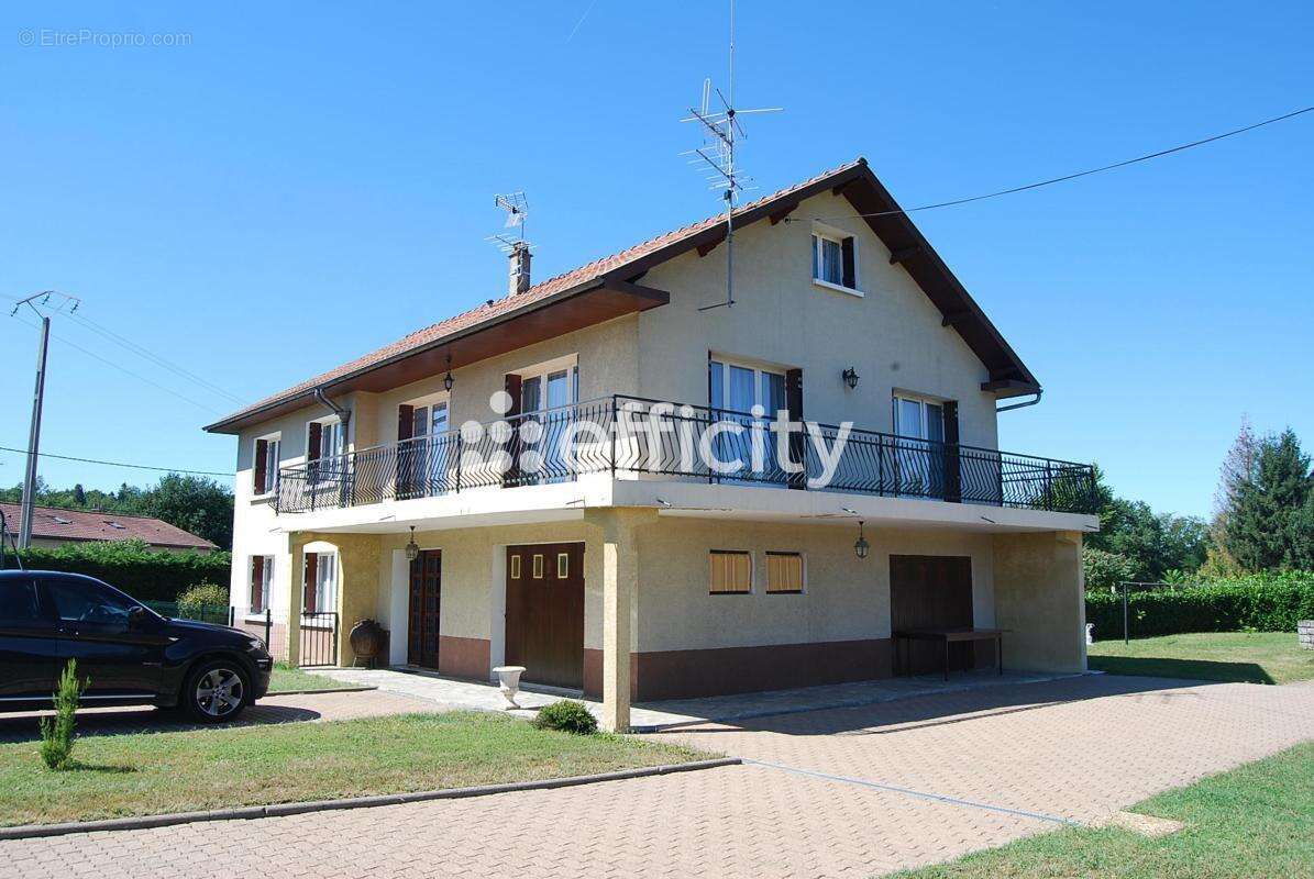 Maison 275 m² à Neronde-Sur-Dore  - photo 2