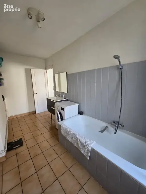 Immeuble 4 lots de 282m2 - Boulevard de Châteaudun à Orléans - photo 9