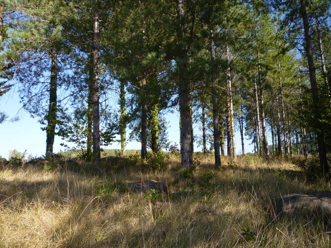 Terrain de loisirs - photo 2