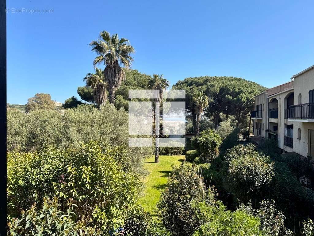 Appartement à CALVI