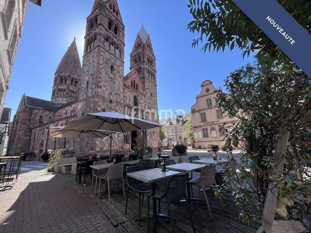 Commerce à SELESTAT