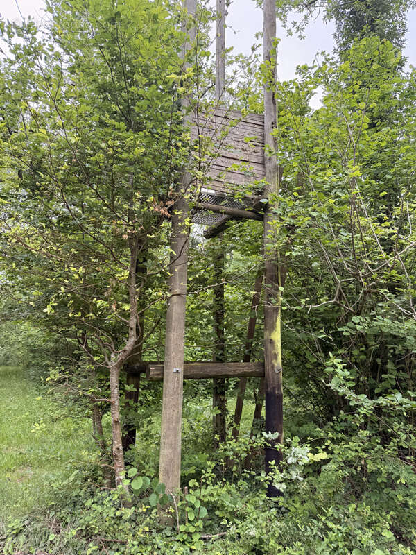 Terrain à AUTRUY-SUR-JUINE