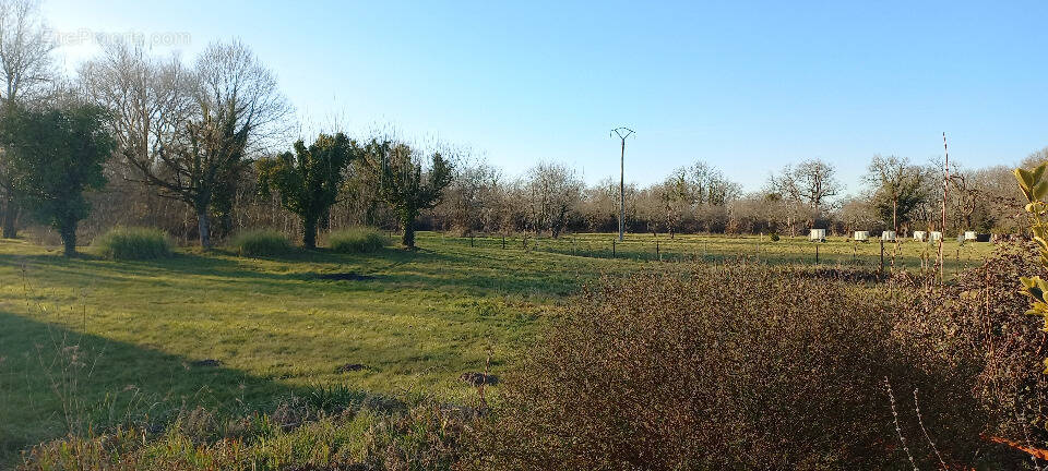 Terrain à MENESPLET