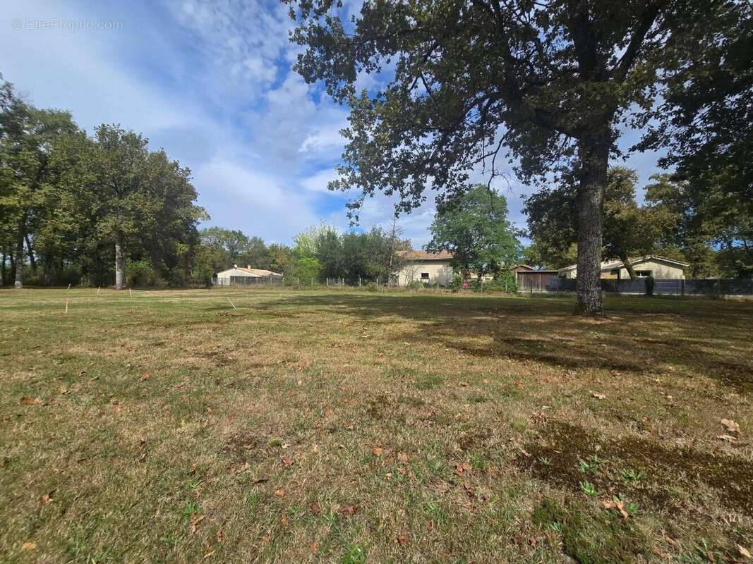 Photo 3 - Terrain à SAINT-JEAN-D'ILLAC