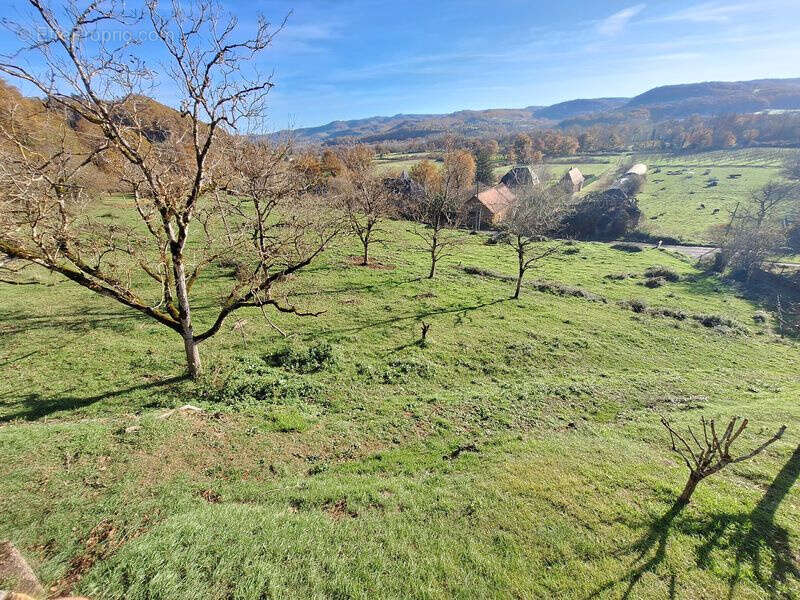 Maison à SAINT-MICHEL-LOUBEJOU