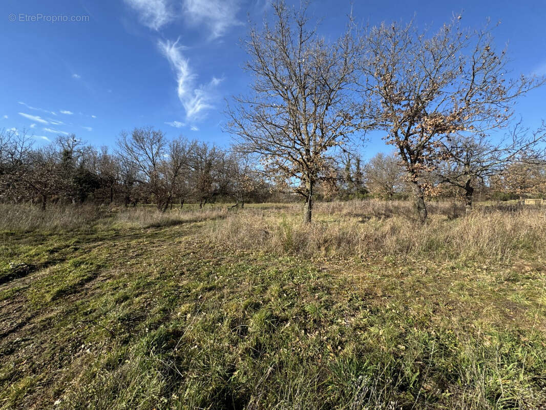 Terrain à ROIFFIEUX