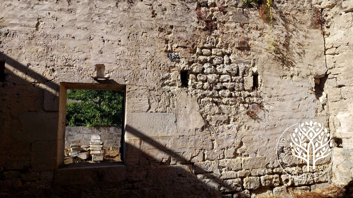 jardin anciennes habitations - Appartement à SAINT-SAVINIEN