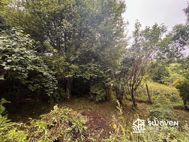 Maison à SAINTE-CROIX-VOLVESTRE