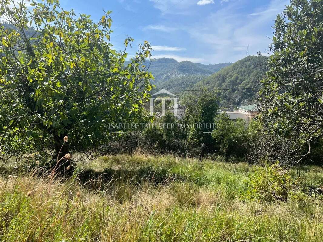 Terrain à L'ESCARENE