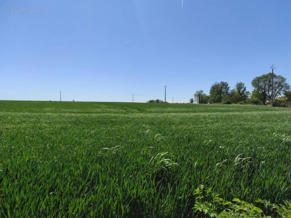 Terrain à ETREPAGNY