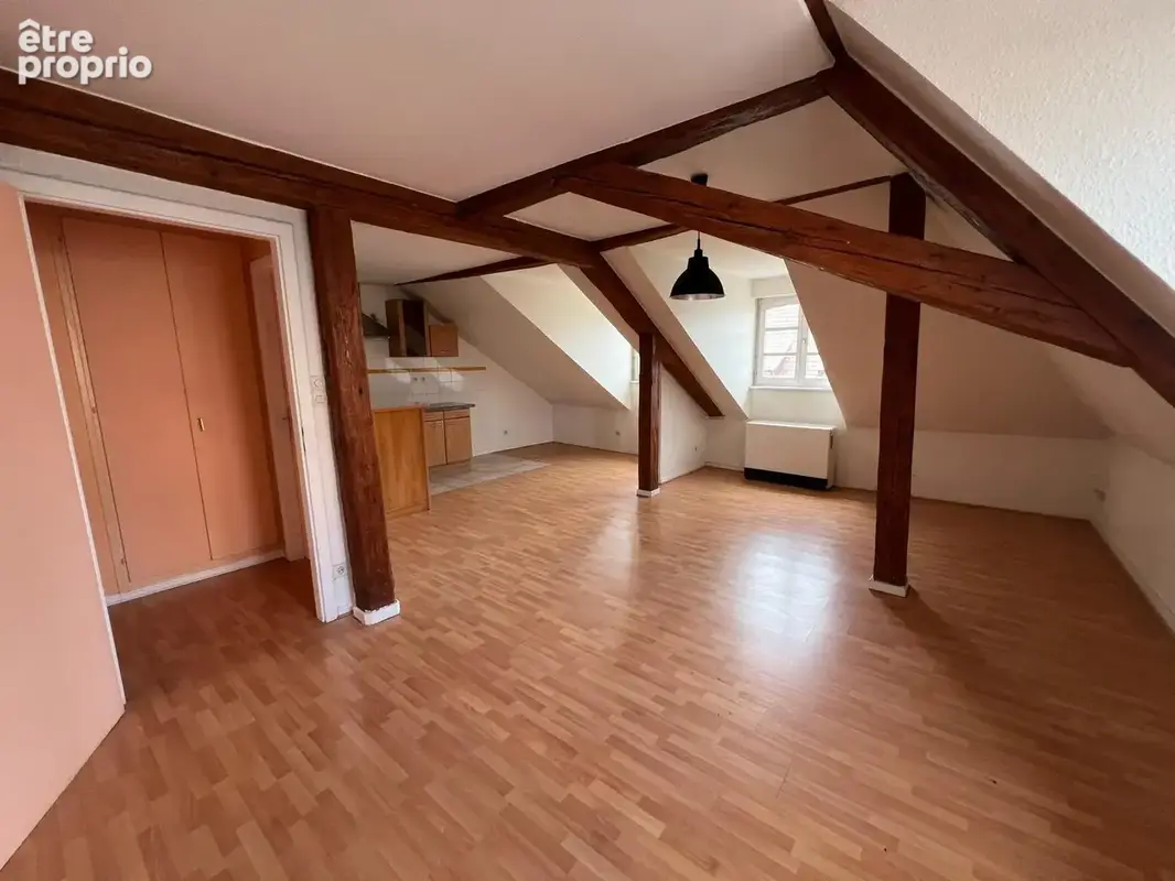 F3 de 60 m2 en hyper centre 80 m2 au sol - photo 2