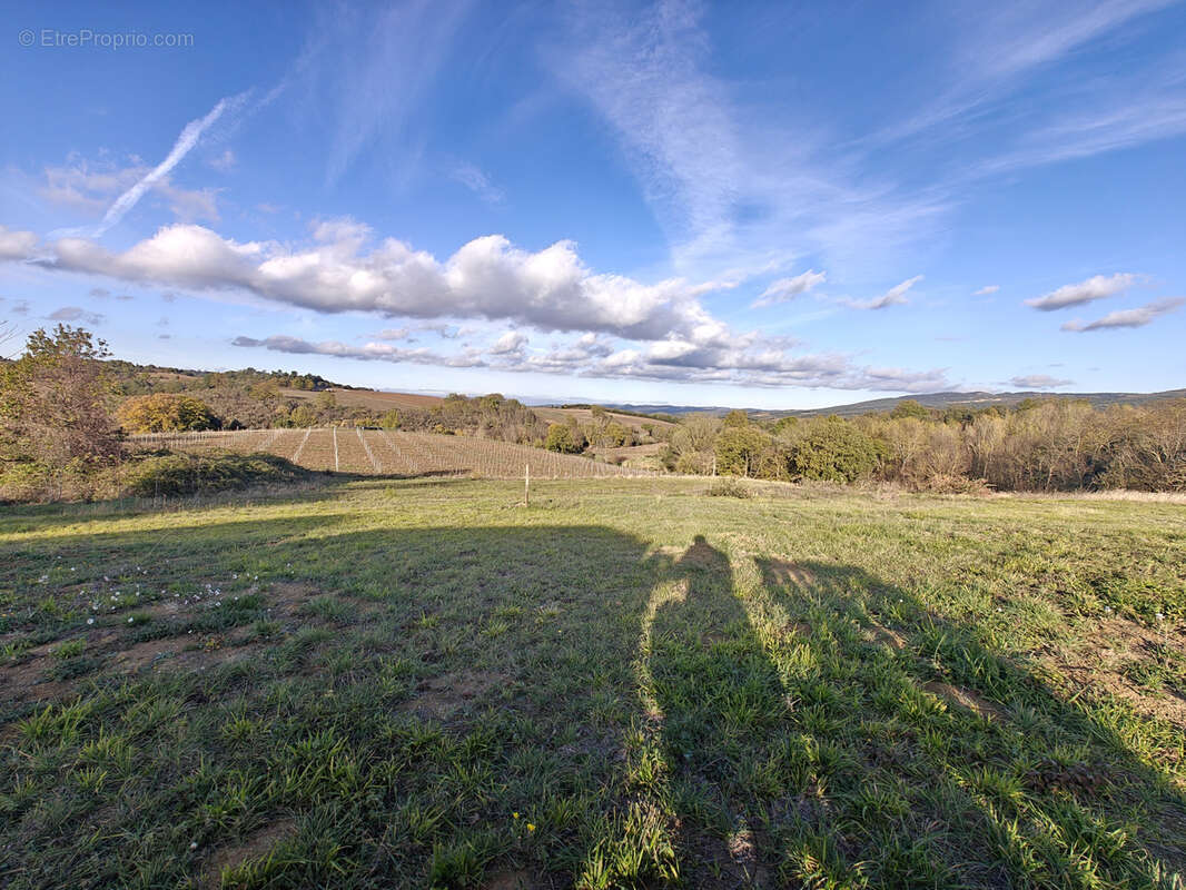 Terrain à VILLAR-SAINT-ANSELME