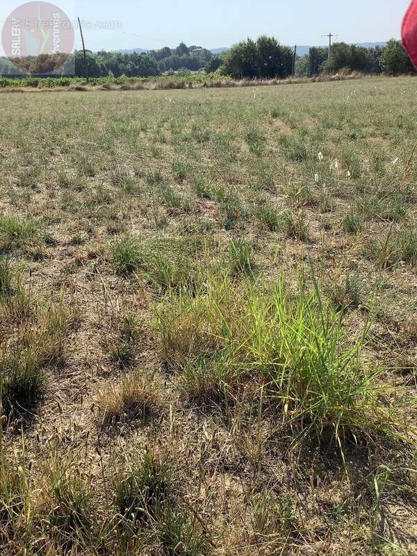 Terrain constructible de 3706 m² pour differents projets de construction - photo 3