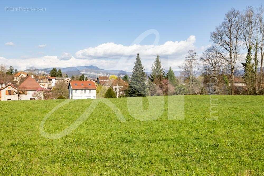 Terrain viabilisé (Lot 6) - Terrain à SAINT-JEAN-D'AVELANNE