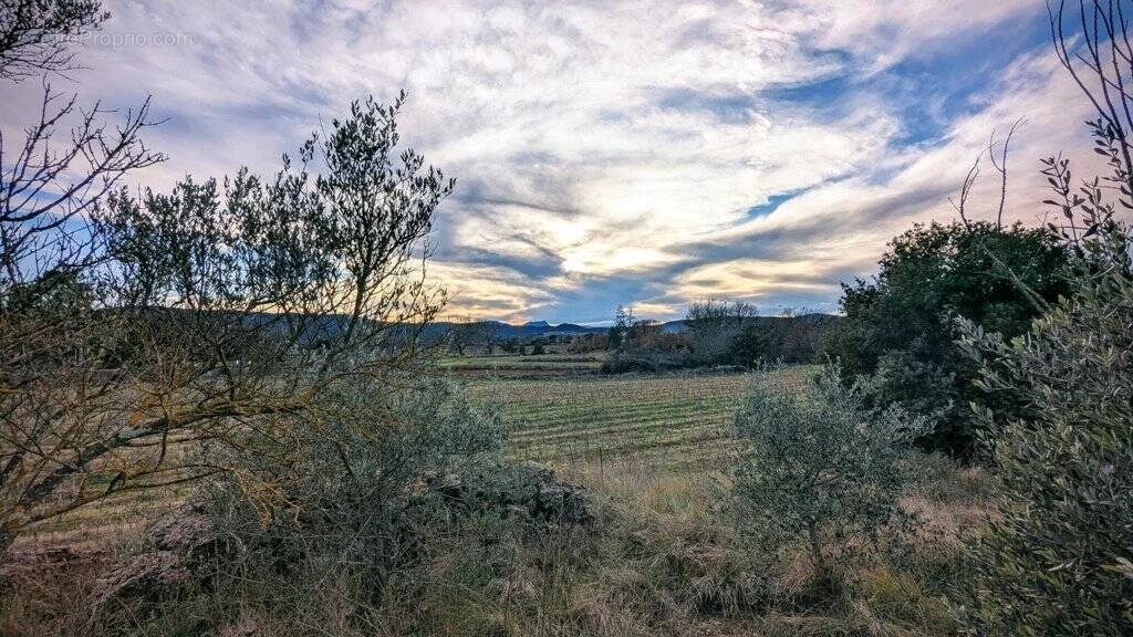Terrain à MONTFORT-SUR-ARGENS