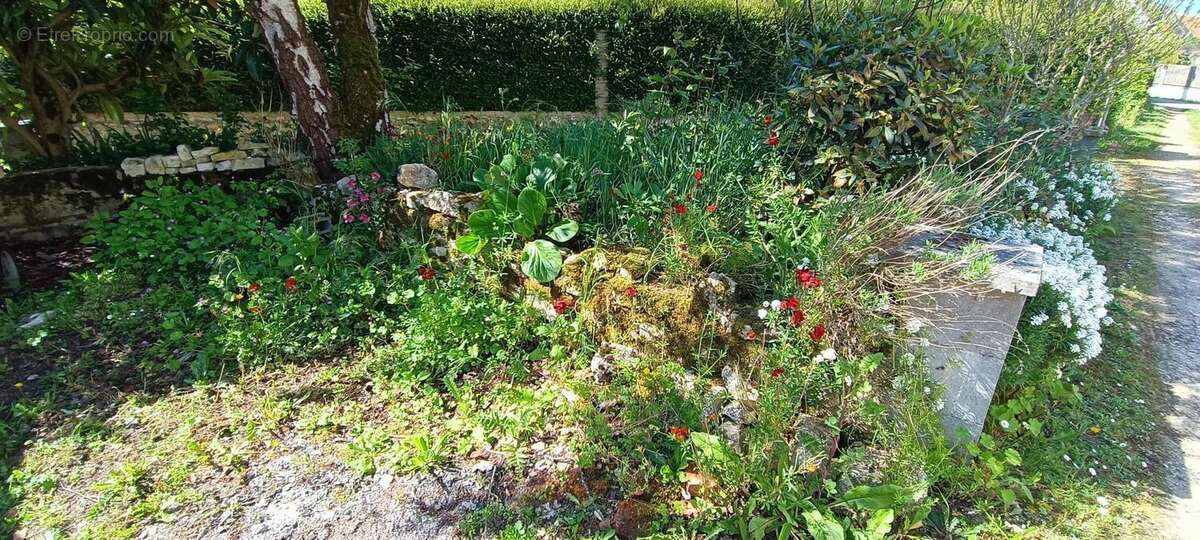 Photo 3 - Maison à CIVRAY