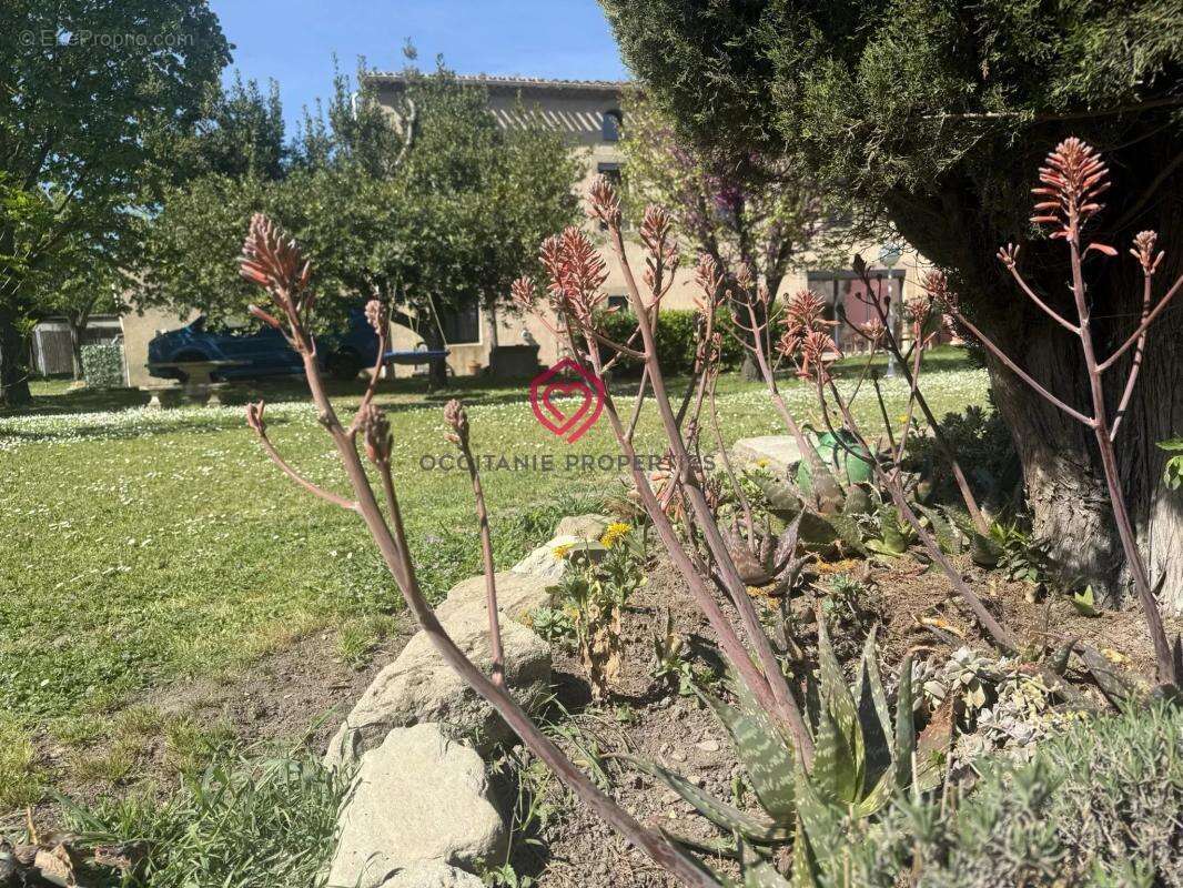 Maison de caractère avec deux gites et jardin clos - photo 33