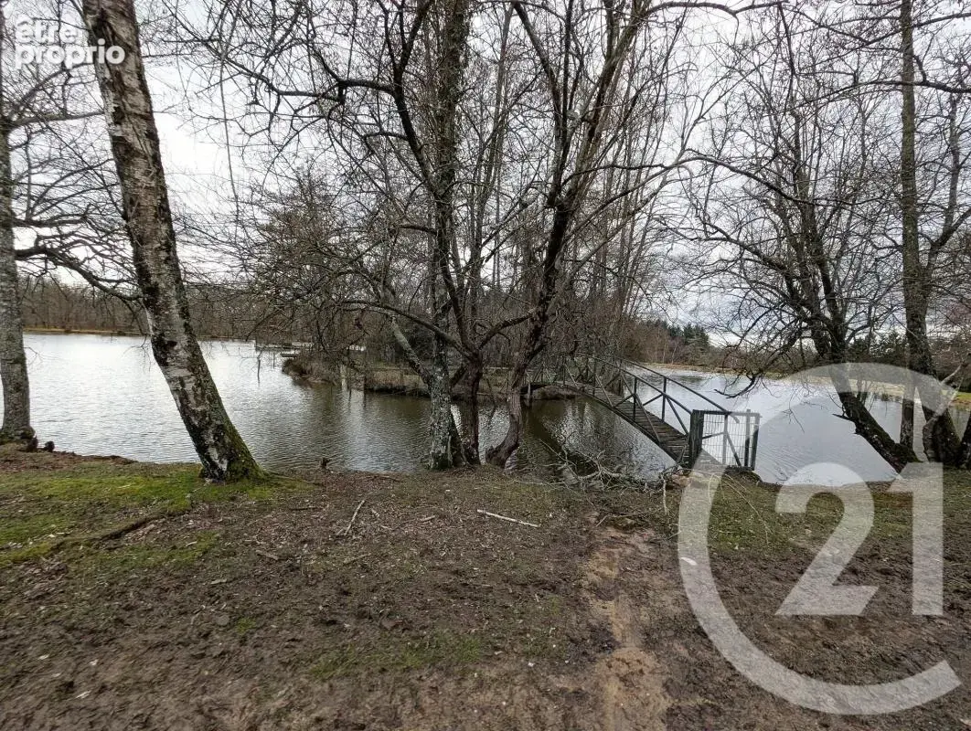 Propriété - photo 22