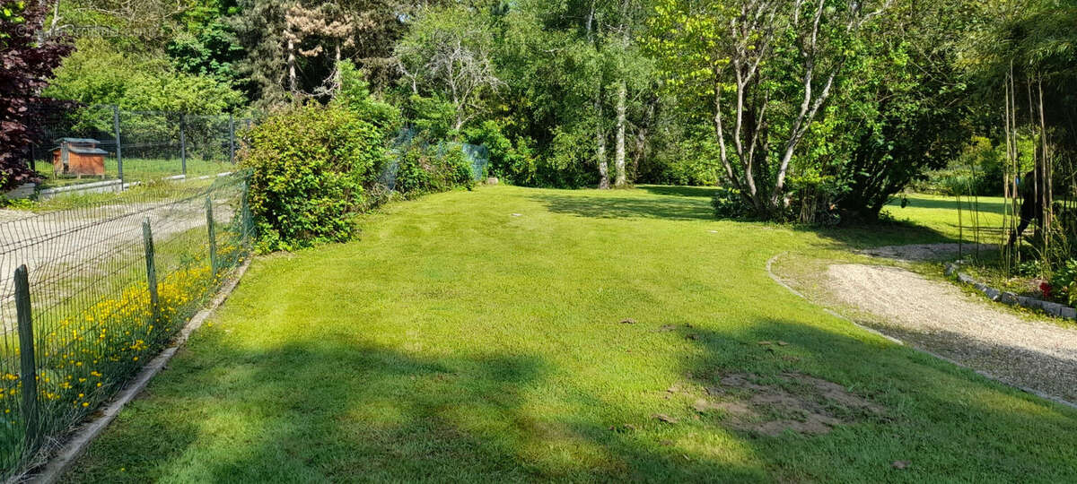 Terrain à LES MOLIERES