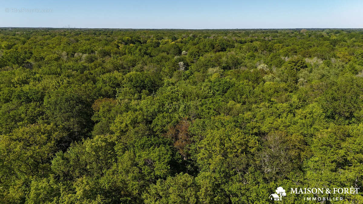 Terrain à OUZOUER-SUR-TREZEE