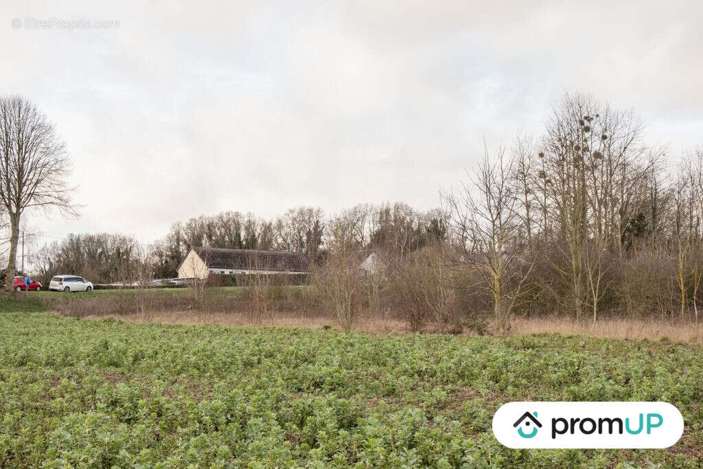 Terrain à SOREL-EN-VIMEU