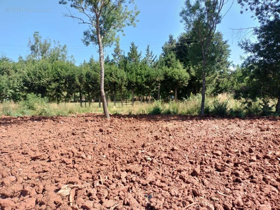 Terrain 300 m² à Le Luc  - photo 2