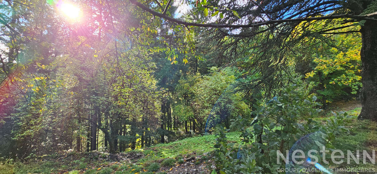 Mas en pierre avec 1,6 hectare de terrain, dépendance et source ? Havre de paix en Cévennes - photo 4