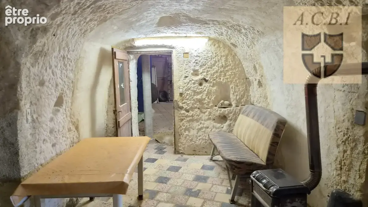 Naveil - maison avec caves troglodytiques, garage et grand terrain - photo 9