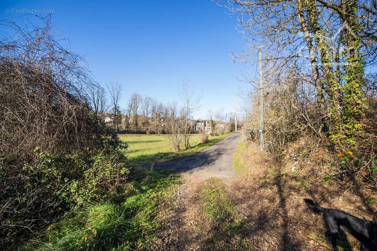 Terrain à CORDES-SUR-CIEL