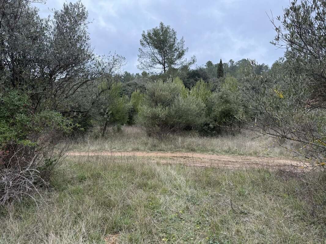 Terrain à CAMPS-LA-SOURCE