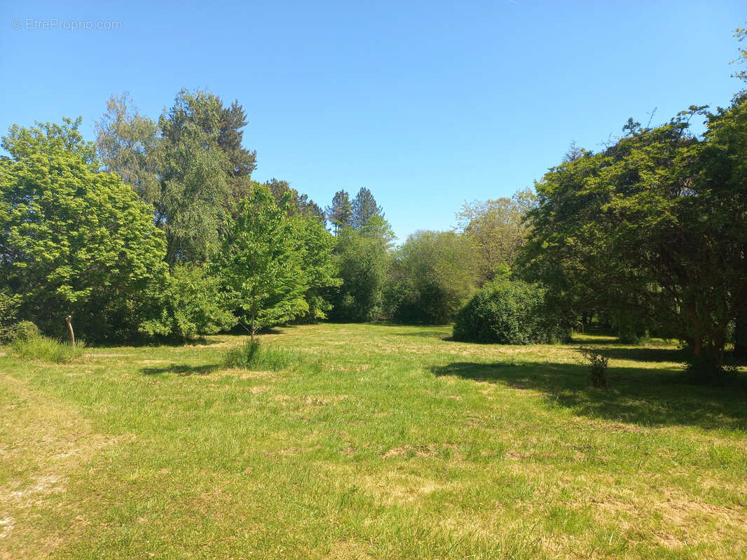 Maison à TRIE-SUR-BAISE