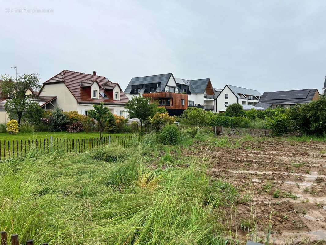 Terrain à OBERSCHAEFFOLSHEIM
