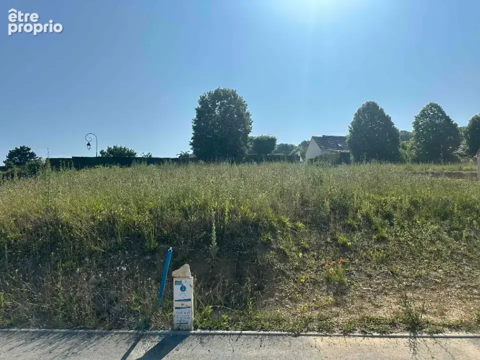 Terrain à LES ECRENNES