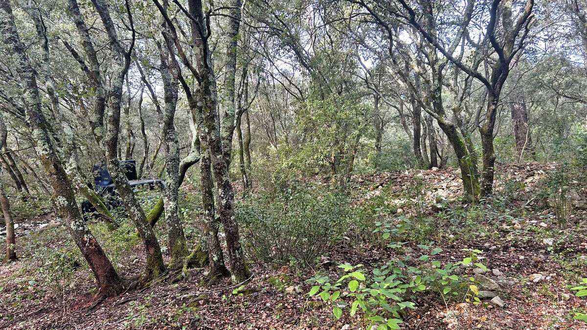 Terrain à CARNOULES