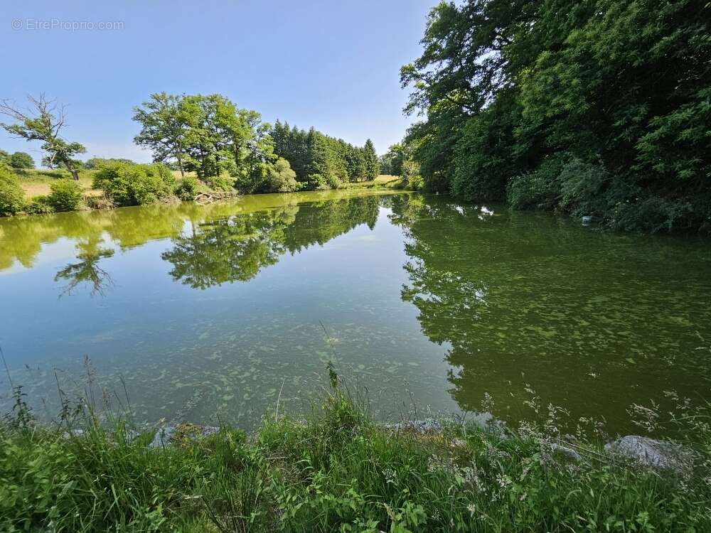 Terrain à SAINT-PRIEST-LA-FEUILLE
