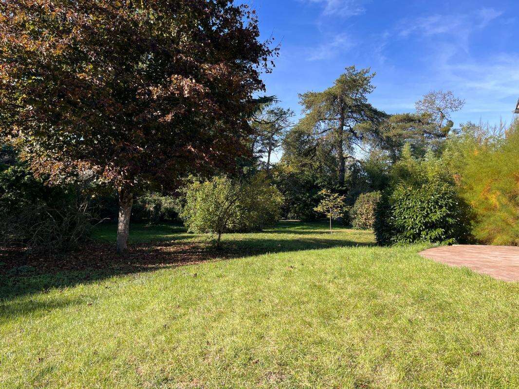 Maison à SAINT-DENIS-EN-VAL