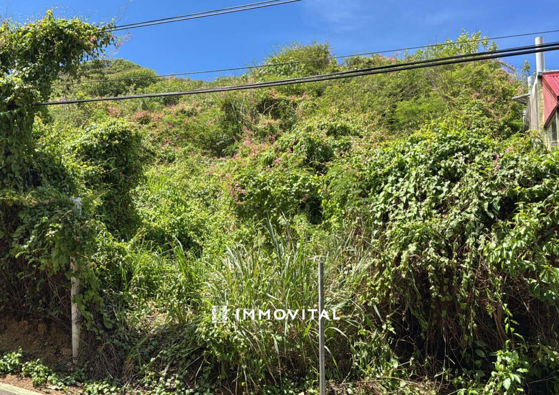 Terrain à TERRE-DE-HAUT