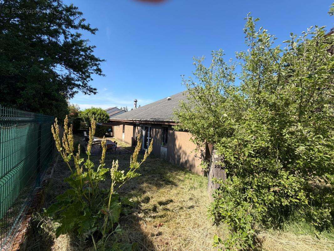 Plain-pied de 284m² de surface habitable - photo 13