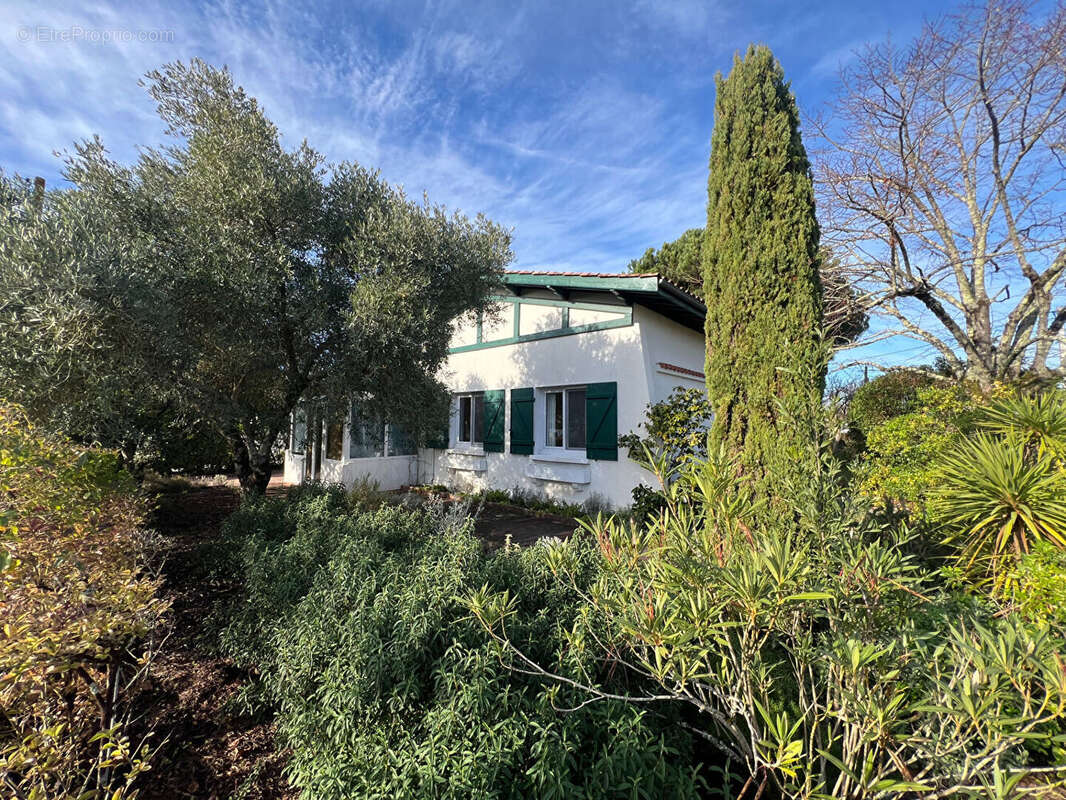 Maison à GUJAN-MESTRAS