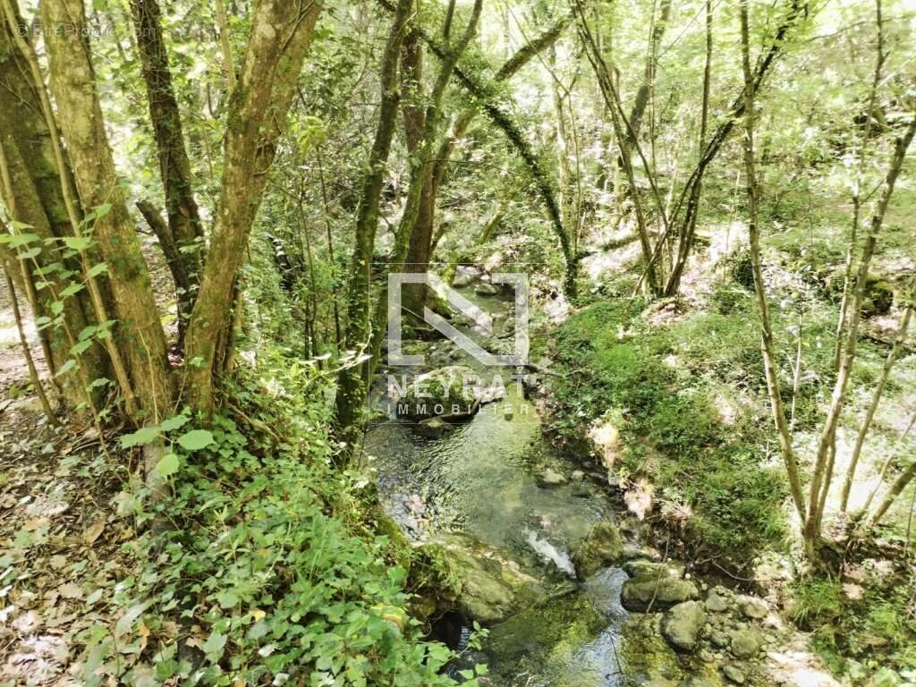 Tourrettes - basrtides - piscine - riviere - source - 17.000m² de terrain - photo 13