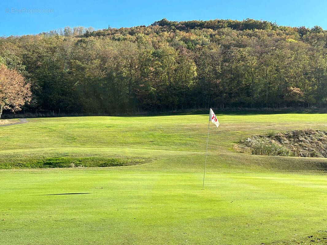 Appartement à AMMERSCHWIHR