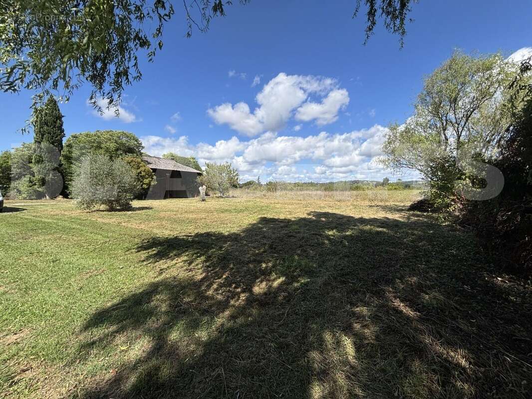 IMG_1149 - Maison à MONTAUBAN